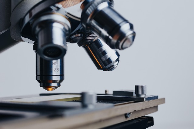 Estimativas apontam para 12,5 mil novos casos anuais de linfoma não Hodgkin no Brasil, conforme o diagnóstico de Netinho.